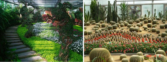 宇航学院三八游世界花卉大观园纪实